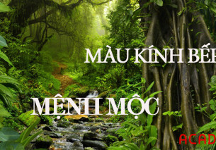 Màu kính bếp cho người mệnh kim – hợp phong thủy, nhiều tài lộc Màu kính bếp cho người mệnh kim – hợp phong thủy, nhiều tài lộc