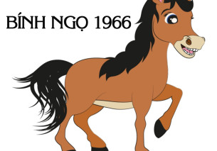 Màu kính bếp cho người mệnh kim – hợp phong thủy, nhiều tài lộc Màu kính bếp cho người mệnh kim – hợp phong thủy, nhiều tài lộc