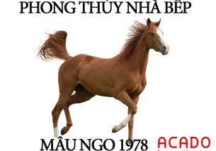 Phong thủy nhà bếp tuổi Kỷ Mùi 1979 – mang đến may mắn, tài lộc dồi dào