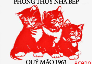 Phong thủy nhà bếp tuổi Qúy Mão 1963 – phát tài phát lộc Phong thủy nhà bếp tuổi Qúy Mão 1963 – phát tài phát lộc